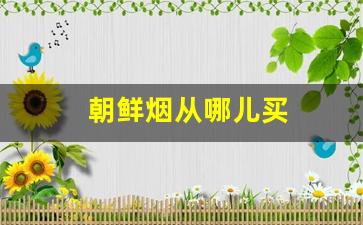 朝鲜烟从哪儿买