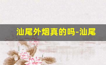 汕尾外烟真的吗-汕尾假烟是不是很厉害