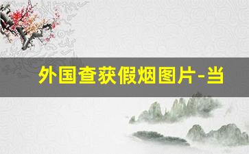 外国查获假烟图片-当前海关查获最大假烟案
