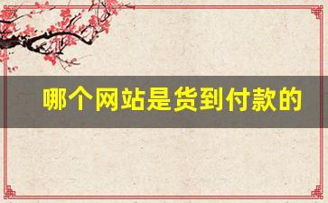 哪个网站是货到付款的-哪里支持货到付款