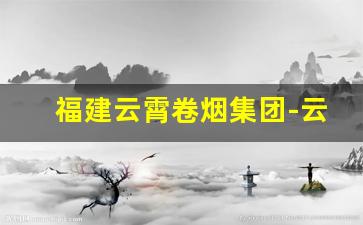 福建云霄卷烟集团-云霄卷烟厂的前世今生