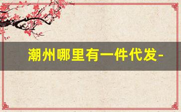 潮州哪里有一件代发-潮州一件代发货源平台