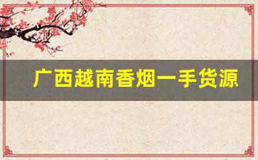 广西越南香烟一手货源厂商-越南烟一手批发南宁