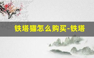 铁塔猫怎么购买-铁塔猫一般小店有卖吗