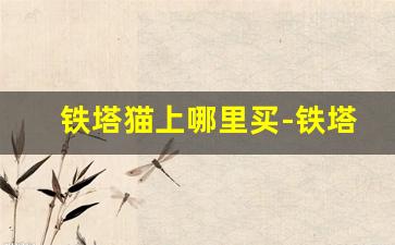 铁塔猫上哪里买-铁塔猫平时在小店能买到吗