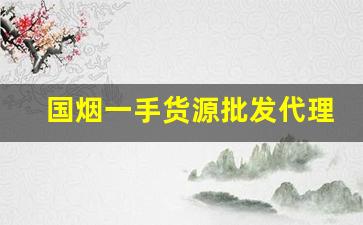 国烟一手货源批发代理厂家直销-批发烟多少条起批