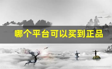 哪个平台可以买到正品-哪个平台买正品便宜