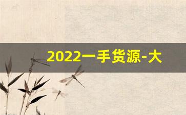 2022一手货源-大厂一手货源商品